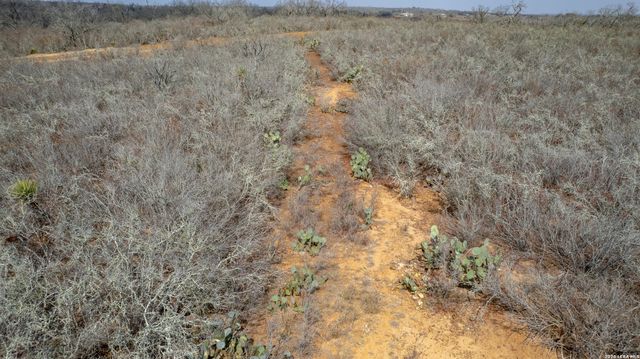 0 W FM 462, Moore, TX 78057