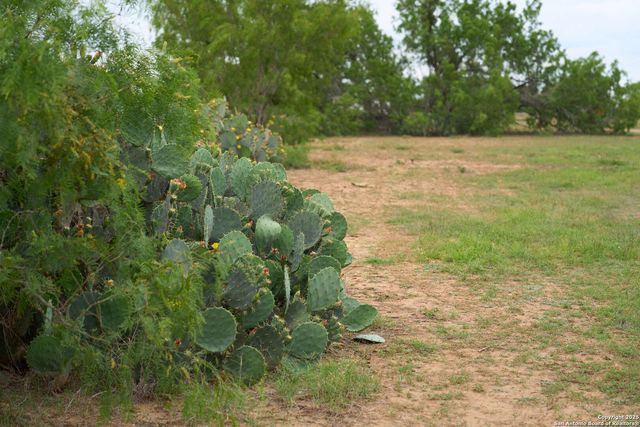 161 Cr 312, Charlotte, TX 78011