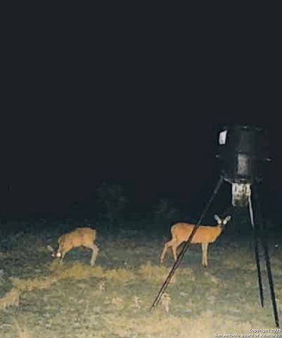 161 Cr 312, Charlotte, TX 78011