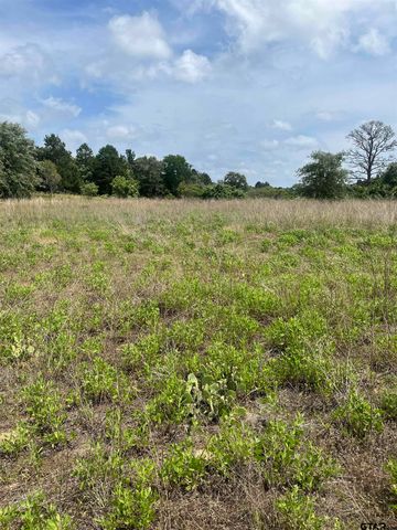 9491 PLEASANT RIDGE RD, Frankston, TX 75763
