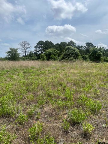 9491 PLEASANT RIDGE RD, Frankston, TX 75763