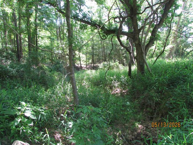 9491 PLEASANT RIDGE RD, Frankston, TX 75763