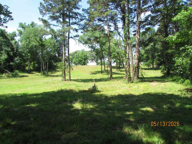 9491 PLEASANT RIDGE RD, Frankston, TX 75763