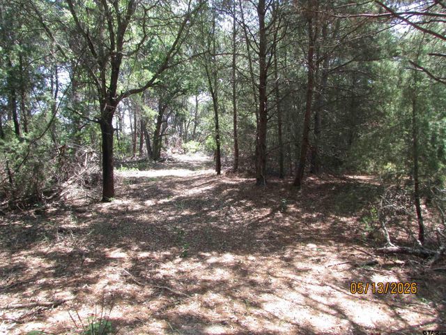 9491 PLEASANT RIDGE RD, Frankston, TX 75763