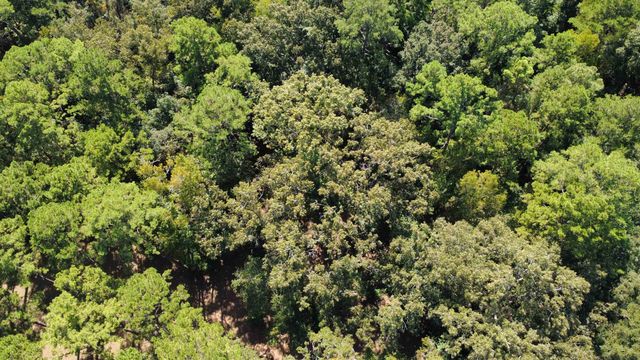 Dogwood Hill, Tallahassee, FL 32308