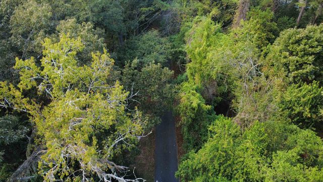 Dogwood Hill, Tallahassee, FL 32308