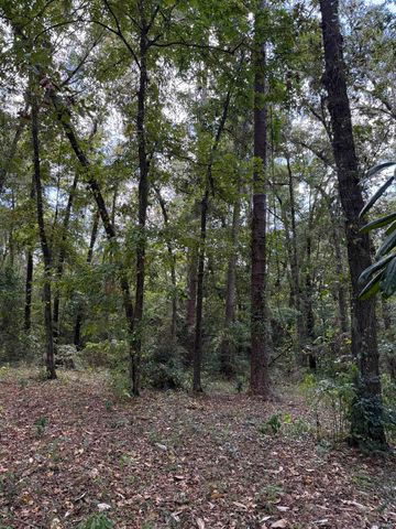 Dogwood Hill, Tallahassee, FL 32308