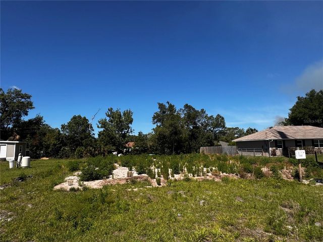 250 WILLIAMS AVENUE, Orange City, FL 32763