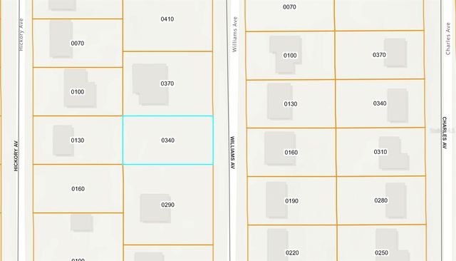 250 WILLIAMS AVENUE, Orange City, FL 32763