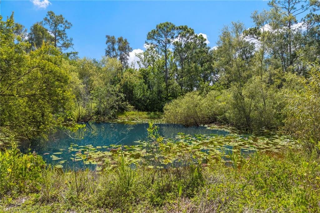 13100 Pinto LN, FORT MYERS, FL 33912 — photo 5