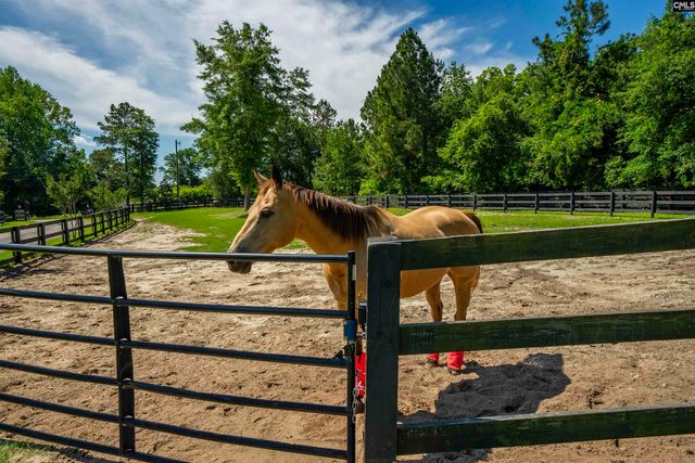 1122 Rawl Road, Lexington, SC 29072