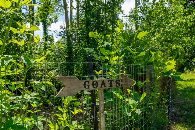 1122 Rawl Road, Lexington, SC 29072