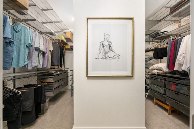 438 Pear Tree LN, Austin, TX 78737