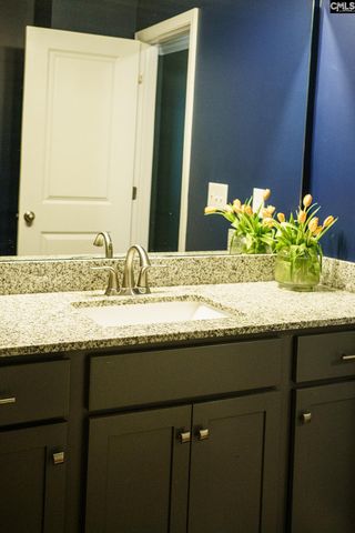 303 Pine Meadow Drive, Chapin, SC 29036