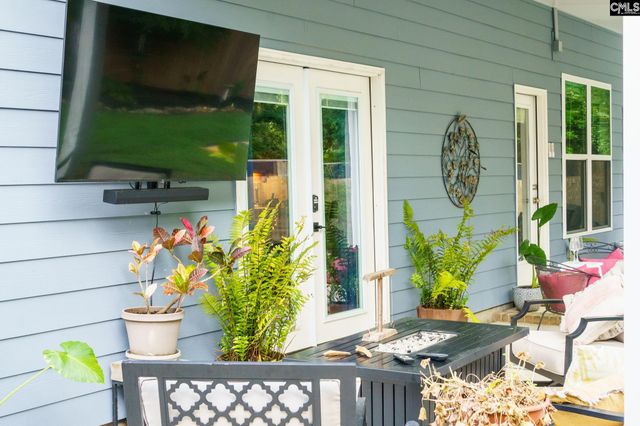 303 Pine Meadow Drive, Chapin, SC 29036