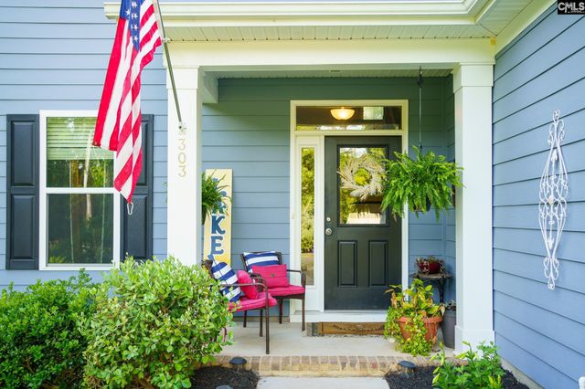 303 Pine Meadow Drive, Chapin, SC 29036