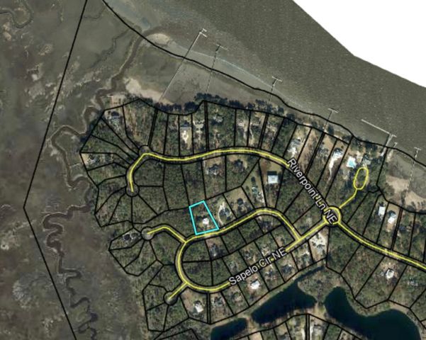 1359 Sapelo Circle NE, Townsend, GA 31331