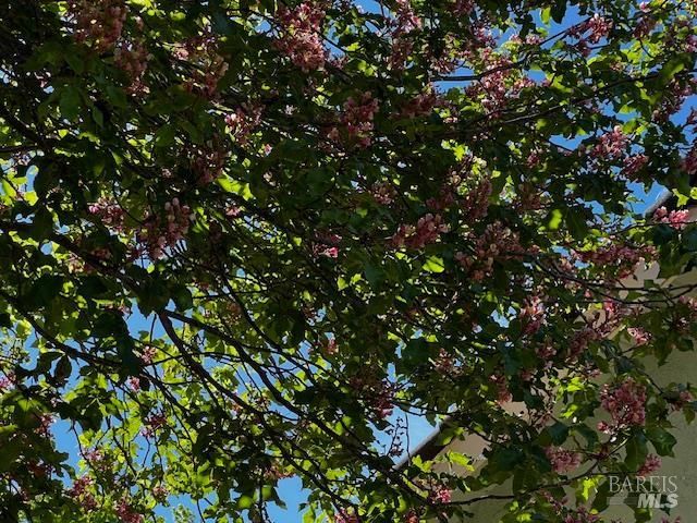 638 E Fleming Ave E, Vallejo, CA 94591