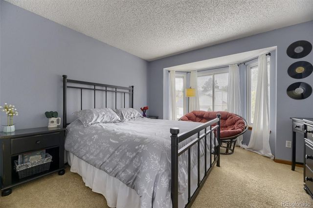 20439 Goldenrod Lane, Parker, CO 80138