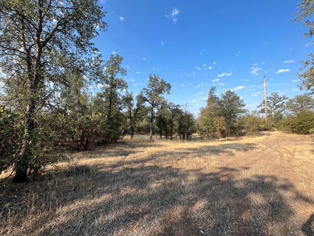 Dynasty Lane, Redding, CA 96003