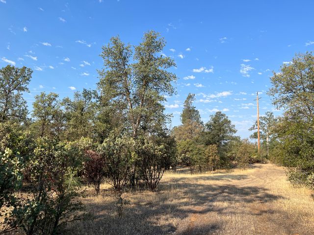 Dynasty Lane, Redding, CA 96003