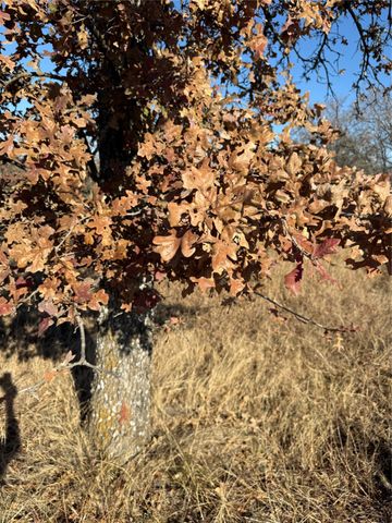 TBD Private Road 1403 Road 1403, Morgan, TX 76671