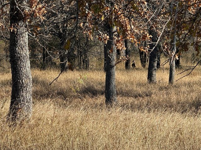 TBD Private Road 1403 Road 1403, Morgan, TX 76671