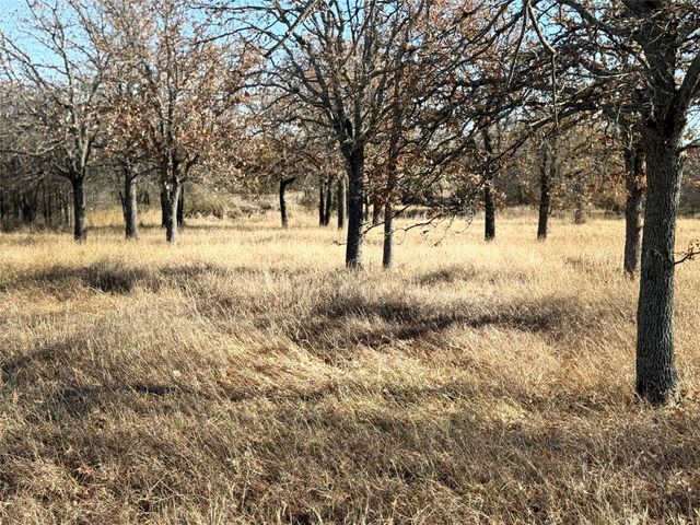 TBD Private Road 1403 Road 1403, Morgan, TX 76671