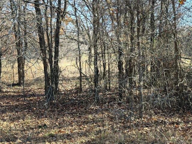 TBD Private Road 1403 Road 1403, Morgan, TX 76671