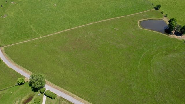 4431 Riggs Road, Pikeville, TN 37367