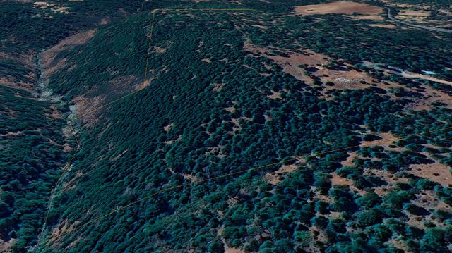 15747 Frenchtown Rd, Brownsville, CA 95919