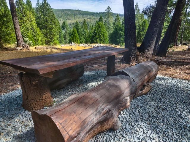 15747 Frenchtown Rd, Brownsville, CA 95919