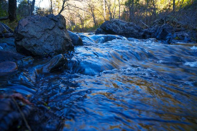 15747 Frenchtown Rd, Brownsville, CA 95919