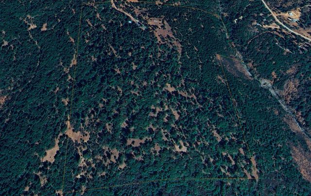 15747 Frenchtown Rd, Brownsville, CA 95919