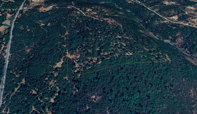 15747 Frenchtown Rd, Brownsville, CA 95919