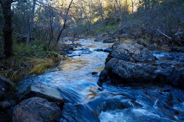 15747 Frenchtown Rd, Brownsville, CA 95919