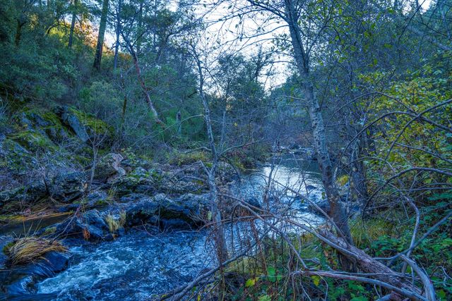 15747 Frenchtown Rd, Brownsville, CA 95919