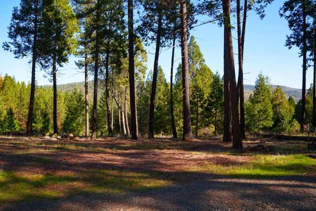 15747 Frenchtown Rd, Brownsville, CA 95919