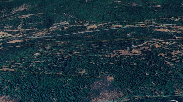 15747 Frenchtown Rd, Brownsville, CA 95919