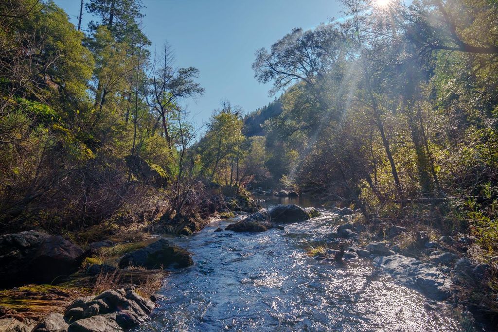 15747 Frenchtown Rd, Brownsville, CA 95919