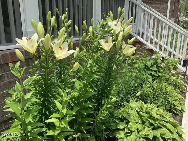 444 Cypress Landing Trail, Chocowinity, NC 27817