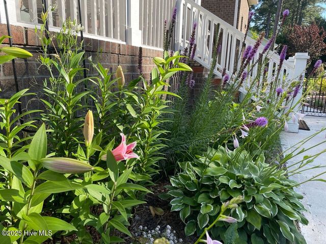 444 Cypress Landing Trail, Chocowinity, NC 27817