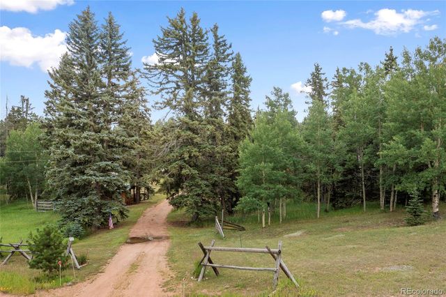 135 Daniwood Grove, Florissant, CO 80816