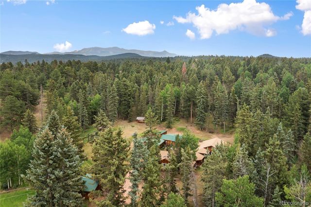135 Daniwood Grove, Florissant, CO 80816