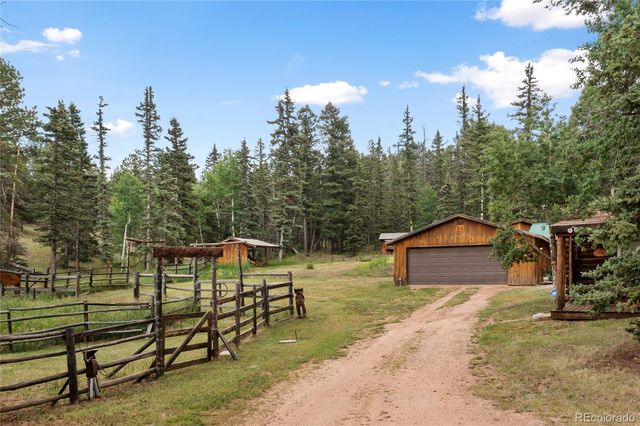 135 Daniwood Grove, Florissant, CO 80816