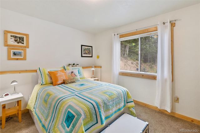 135 Daniwood Grove, Florissant, CO 80816
