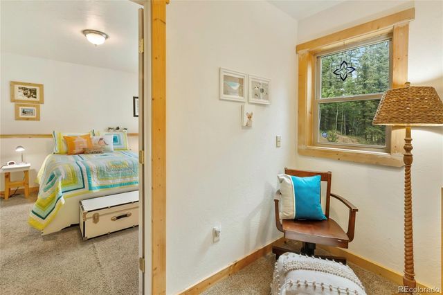 135 Daniwood Grove, Florissant, CO 80816