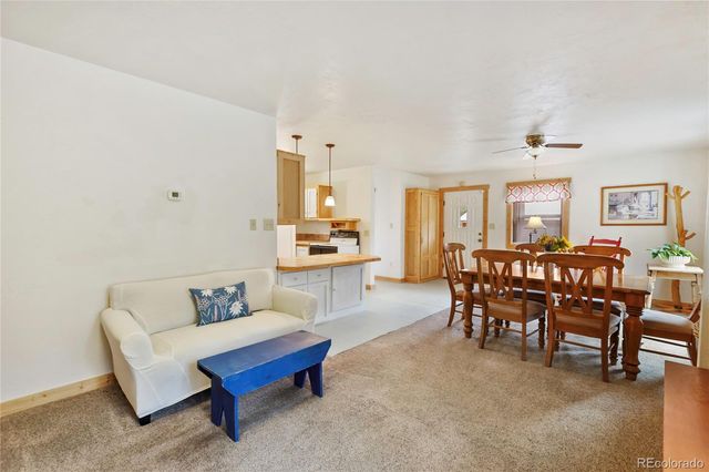 135 Daniwood Grove, Florissant, CO 80816