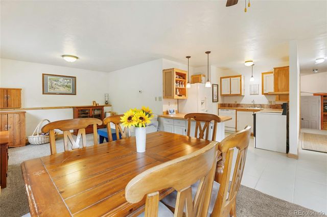 135 Daniwood Grove, Florissant, CO 80816