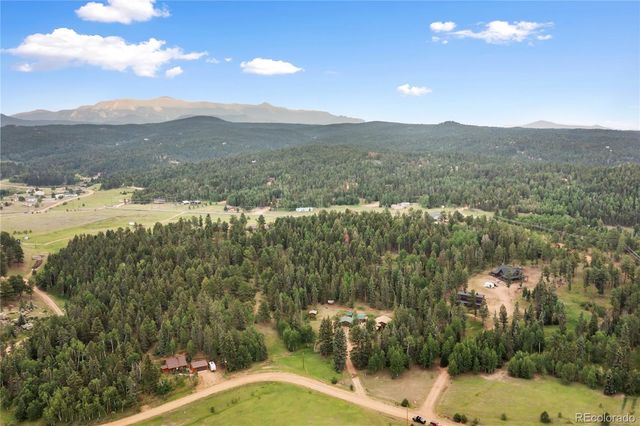 135 Daniwood Grove, Florissant, CO 80816